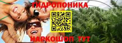 крисы Азнакаево