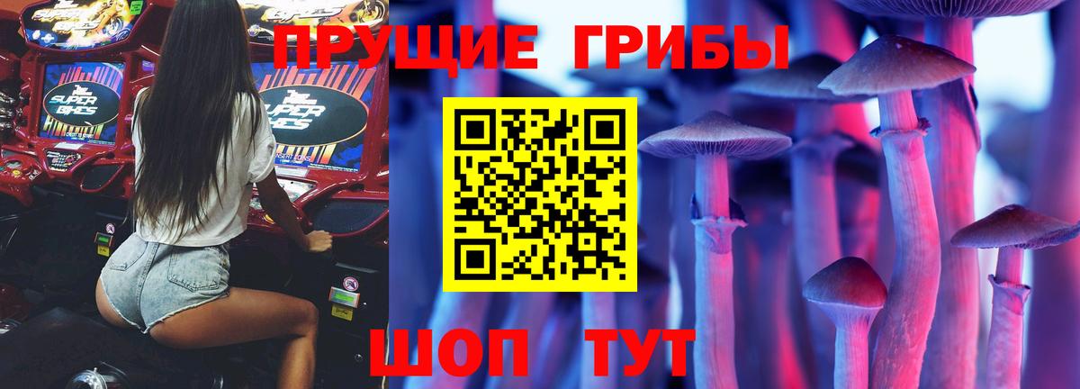 Псилоцибиновые грибы GOLDEN TEACHER Алексин